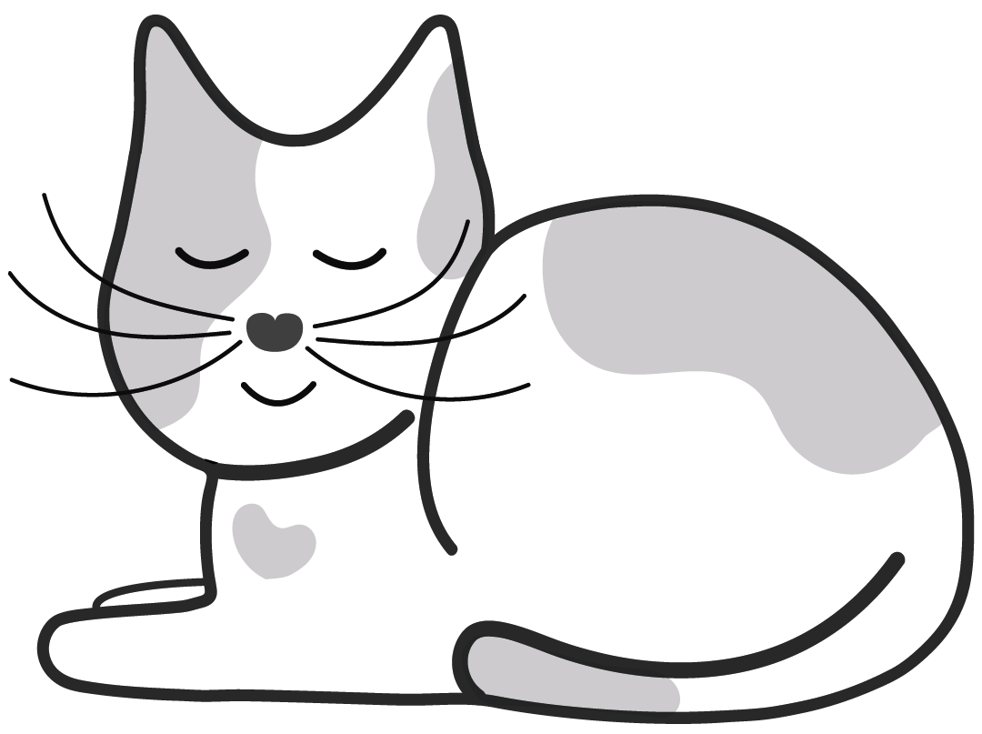 Illustration de mon chat Gustav - Julien - Cat-sitter et comportementaliste pour chat à Lille - @cccjuliend