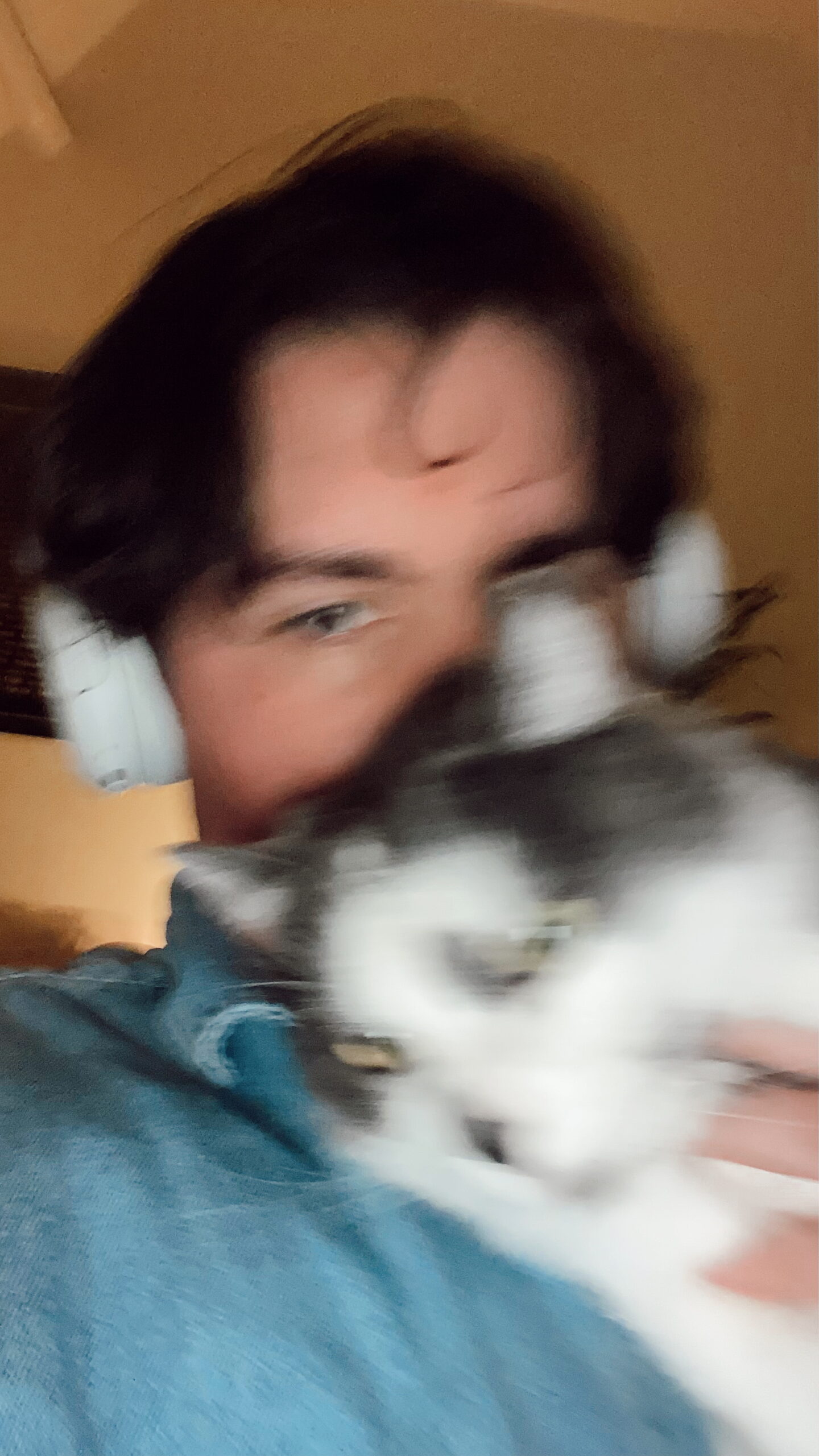 Gustav et moi Julien - Cat-sitter et comportementaliste pour chat à Lille - @cccjuliend.j