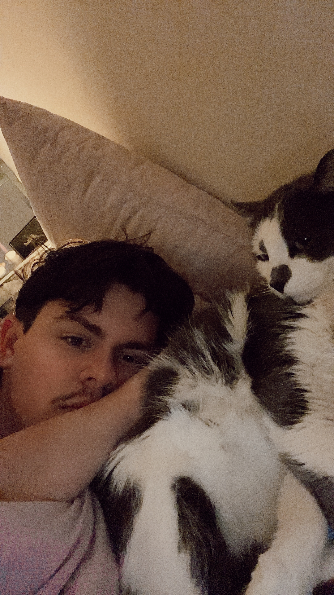 Gustav & Julien moment câlin - Cat-sitter et comportementaliste pour chat à Lille - @cccjuliend